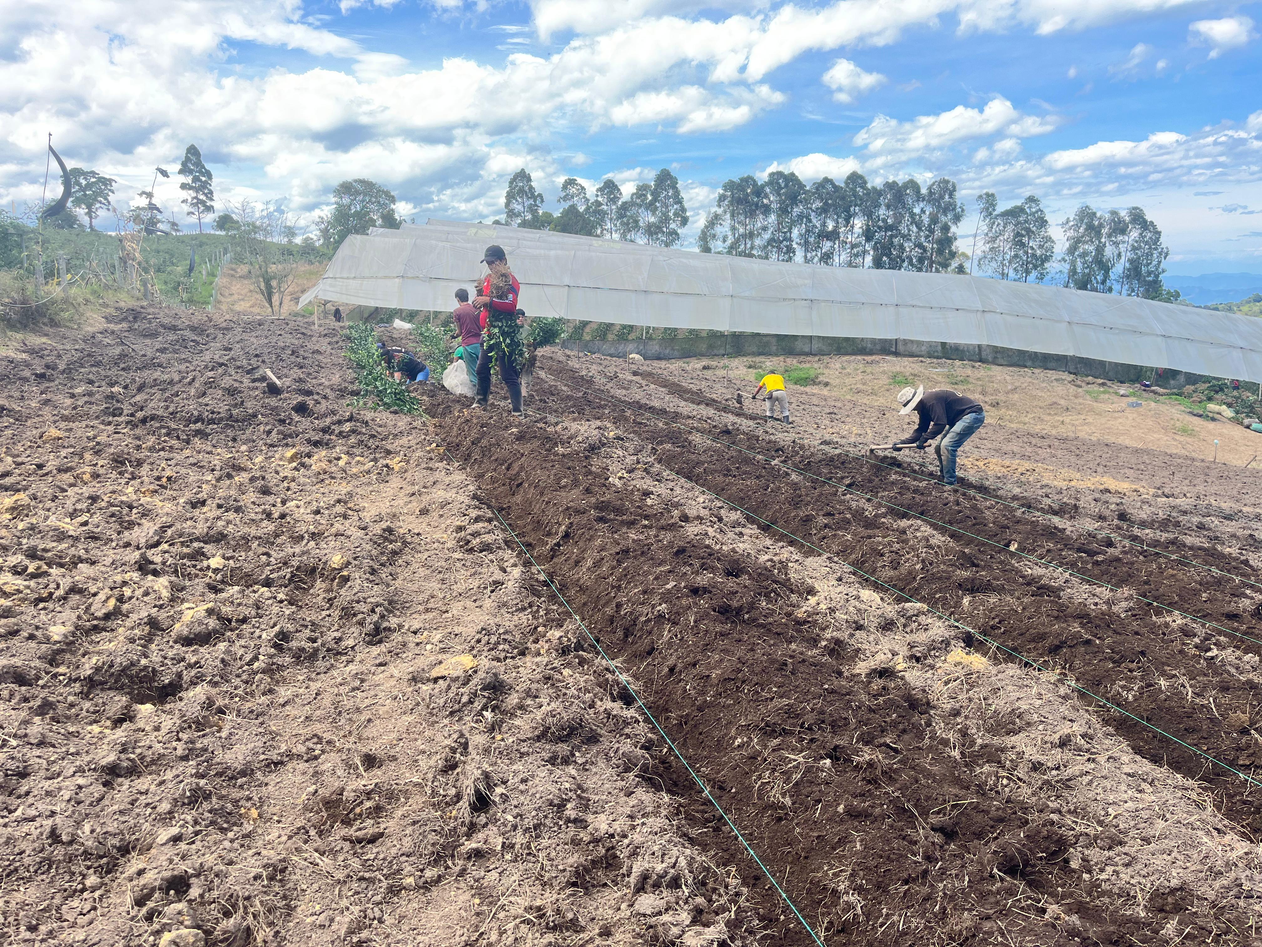 Misión Eden Greens and Flowers